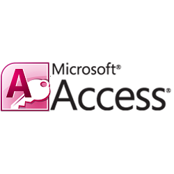 access-database-nyc-programming